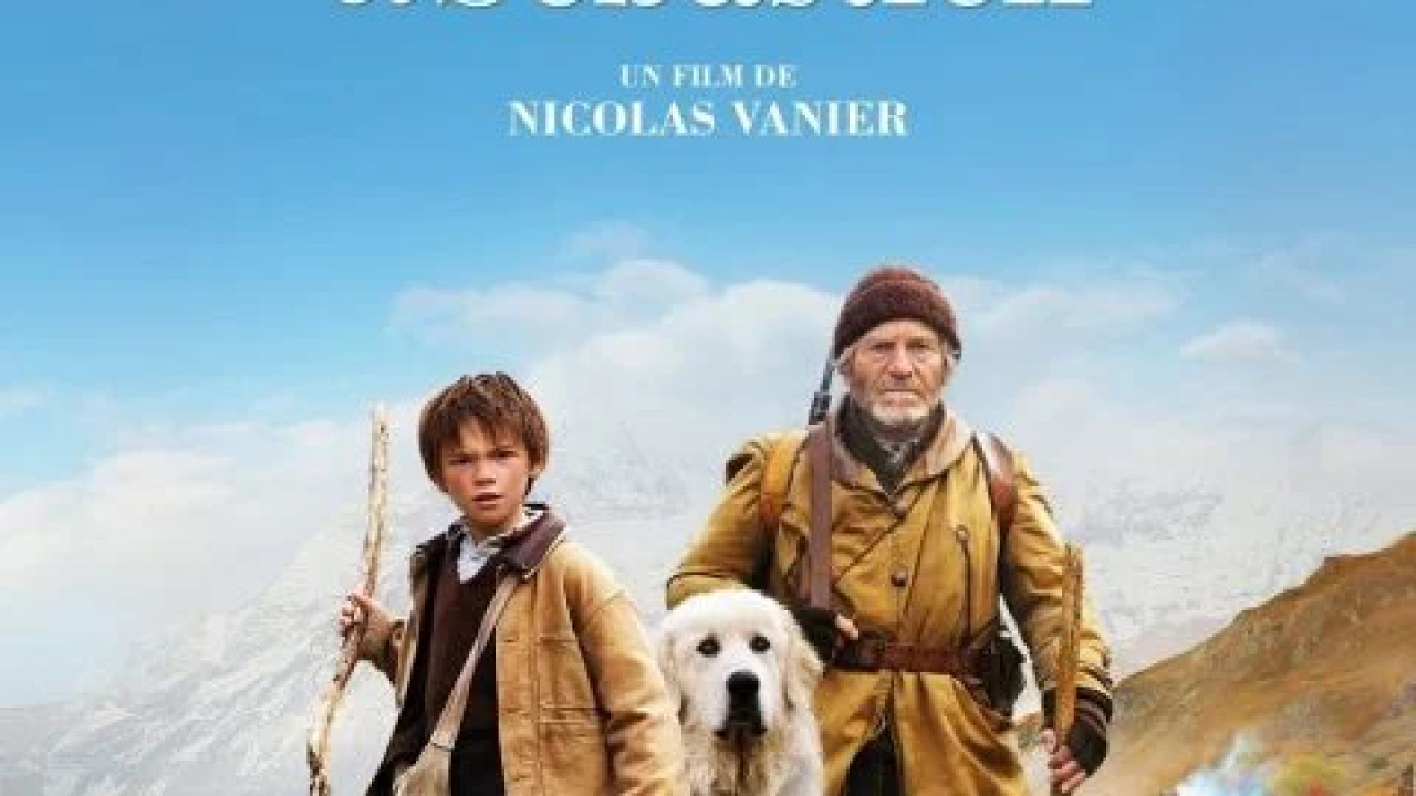 Belle and Sebastian ( 2013 )