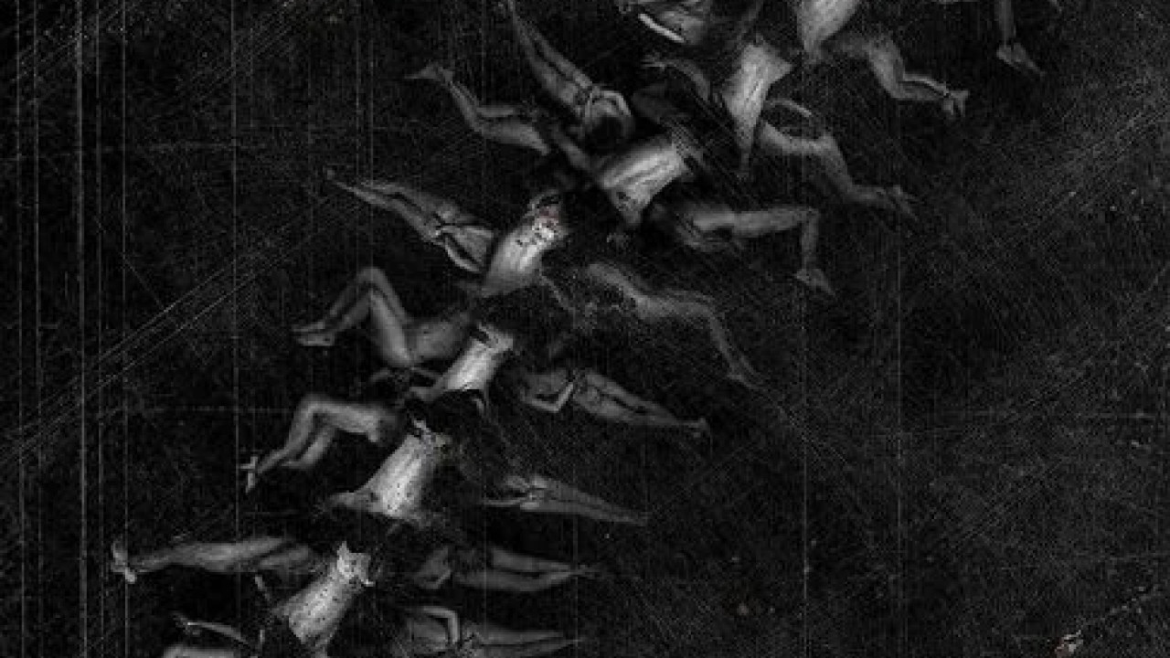 The Human Centipede II Full Sequence ( 2011 )