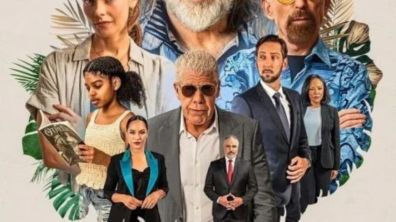 The Retirement Plan ( 2023 )