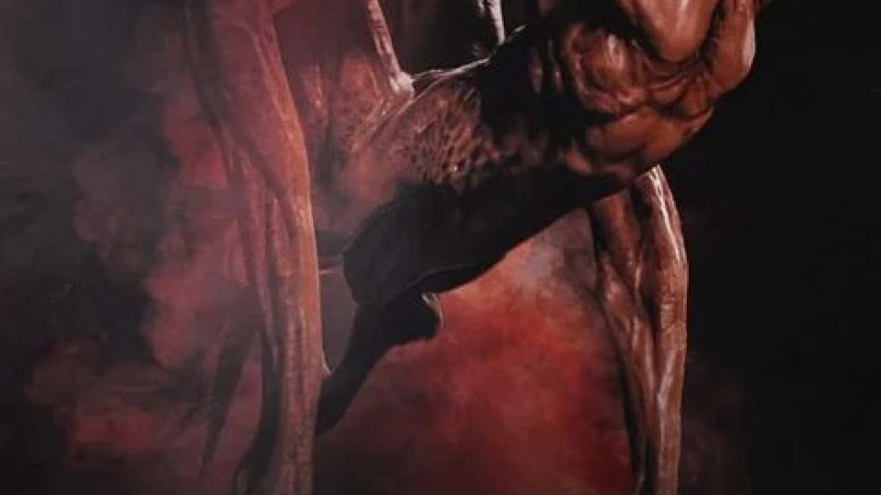 Desert Shadows ( 2022 )