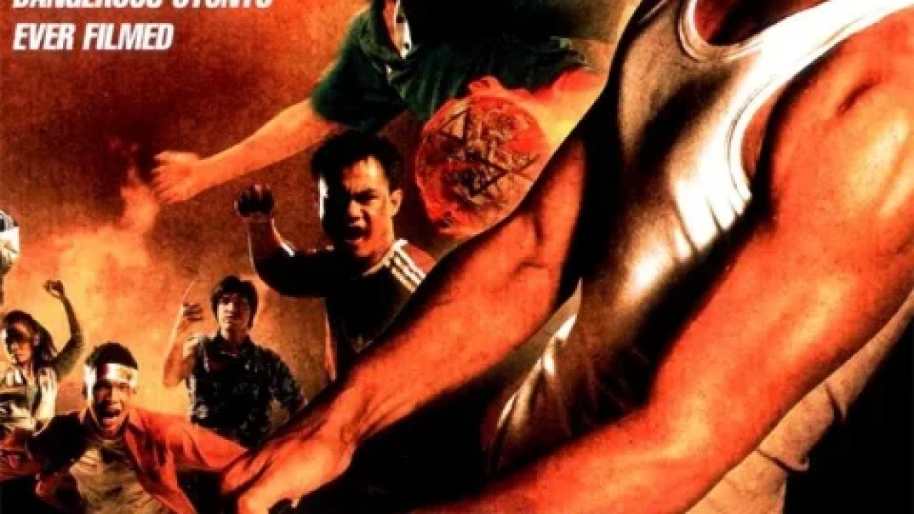 Born to Fight ( 2004 )