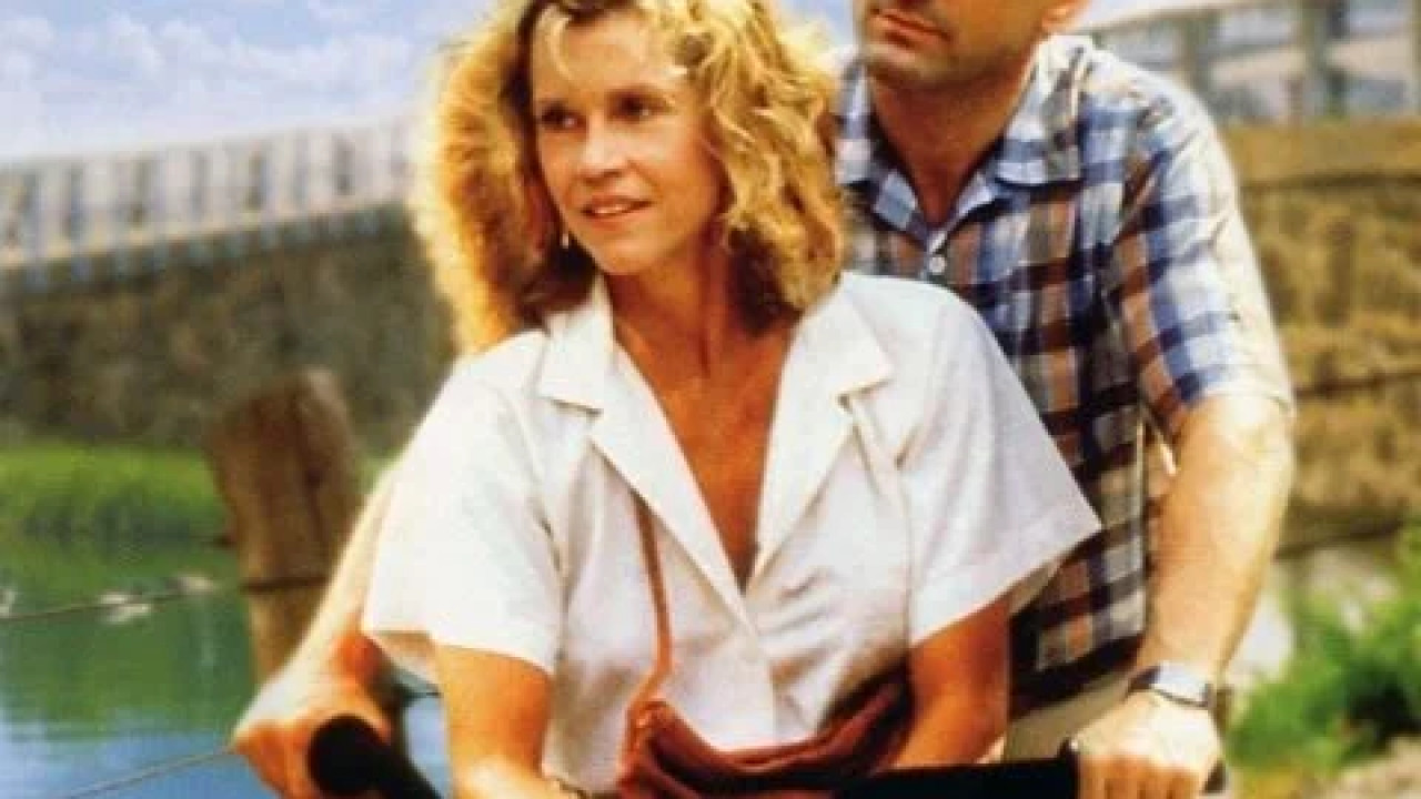Stanley and Iris ( 1990 )